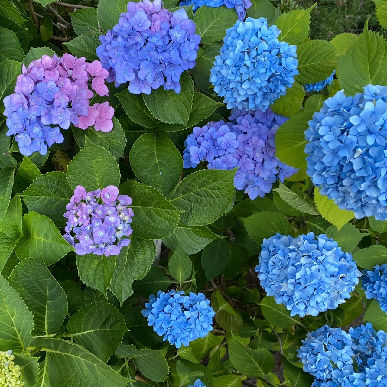 image0 (8)
