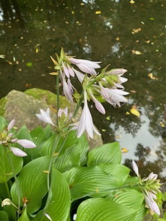 image0